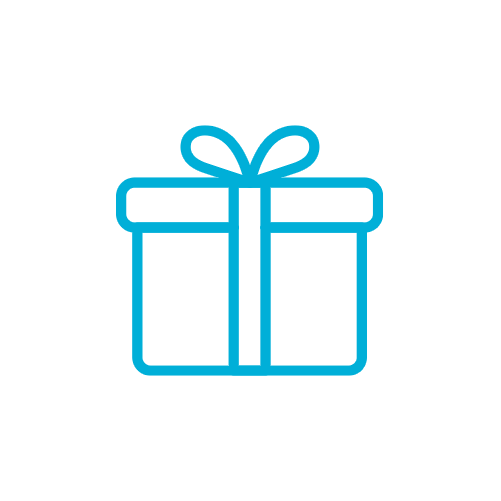 Present Icon